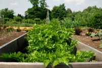 Build Your Own Mini Greenhouse | DoItYourself.com