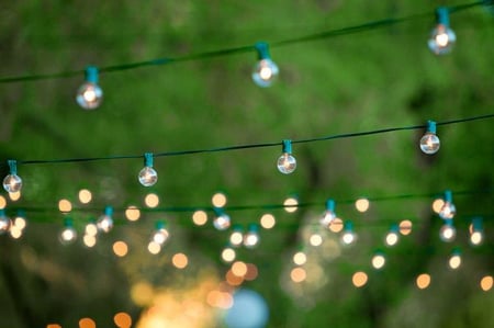 fairy lights in backyard