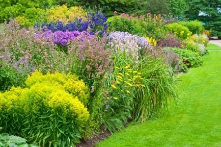 easy care flowering shrubs doityourself com easy care flowering shrubs doityourself com