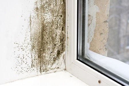 Do You Have a Sick House? The Mold -Air Duct Connection | DoItYourself.com