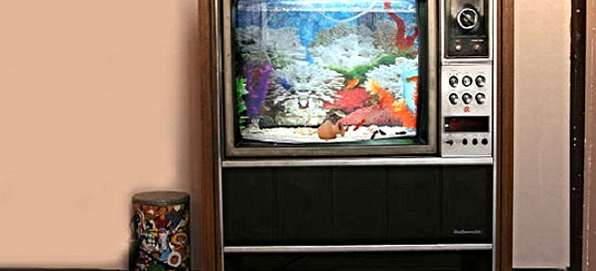 upcycled console tv fish tank
