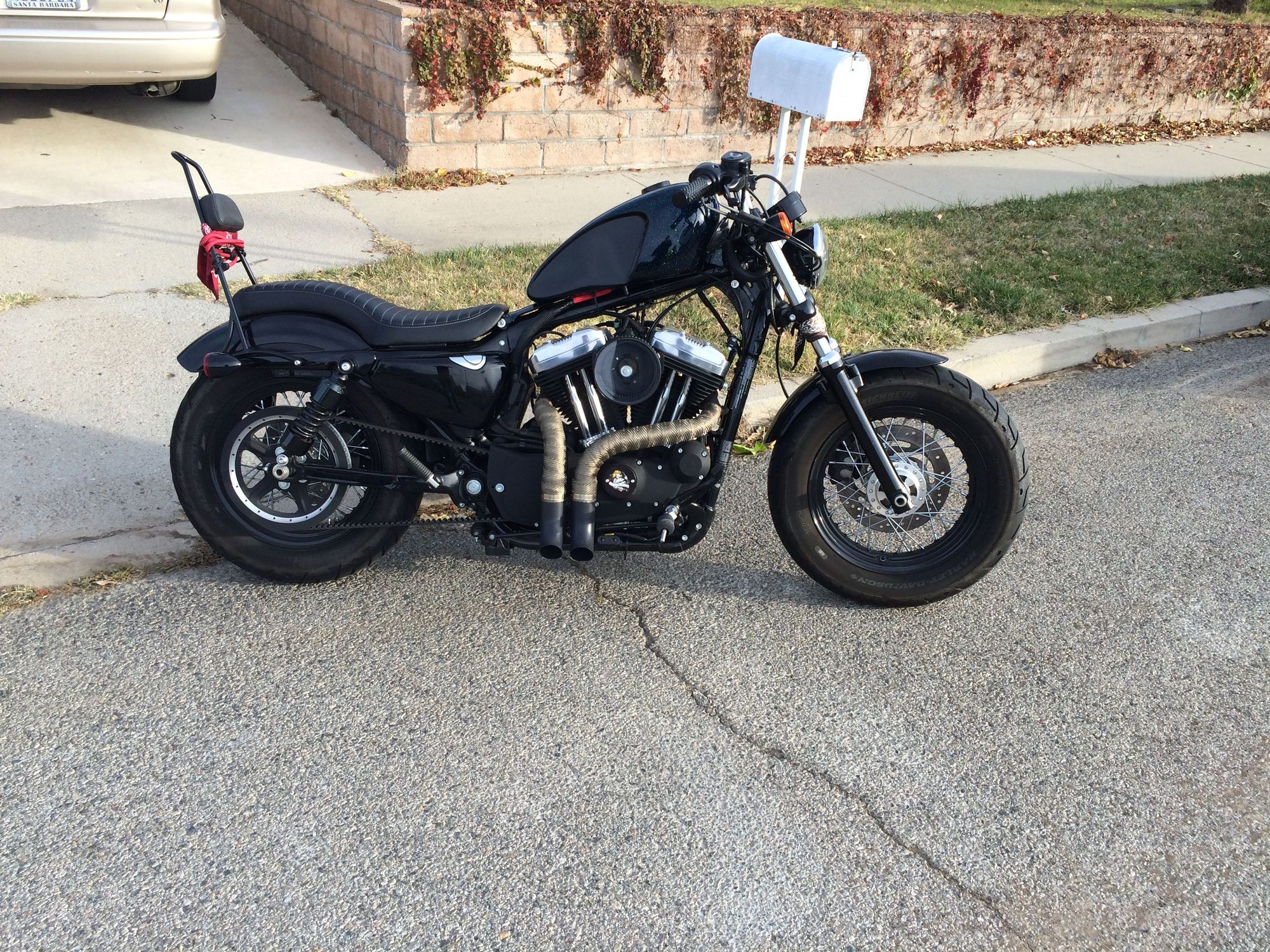 Burly brand tall sissy bar Harley Davidson Forums