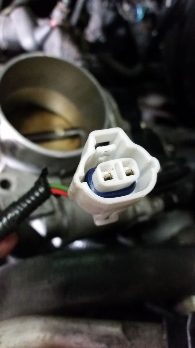 Car Lots In Houston >> Help! Throttle Body Electrical Connector Smashed - Jaguar Forums - Jaguar Enthusiasts Forum Car Lots In Houston >> Help! Throttle Body Electrical Connector Smashed - Jaguar Forums - Jaguar Enthusiasts Forum