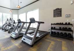 Image of The Marquis at Stonebriar in Frisco, TX