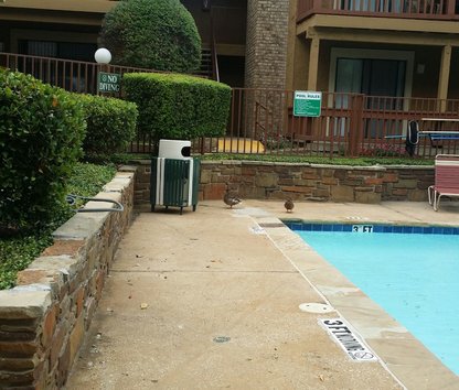 Reviews & Prices for Riverwalk Apartments, Dallas, TX