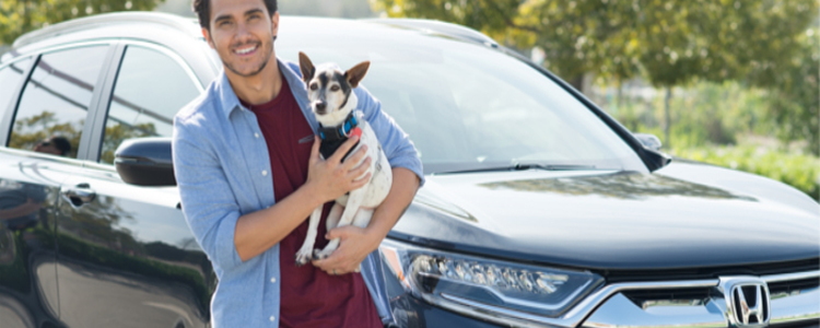 Honda Speaks to Pet Lovers in New Hispanic Marketing Campaign