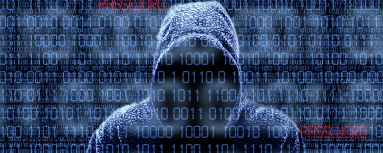 security breach, identity thief, identity theft