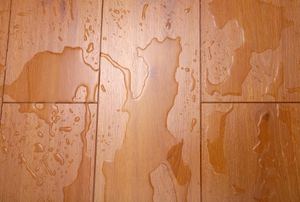 Water puddles on a wood floor.