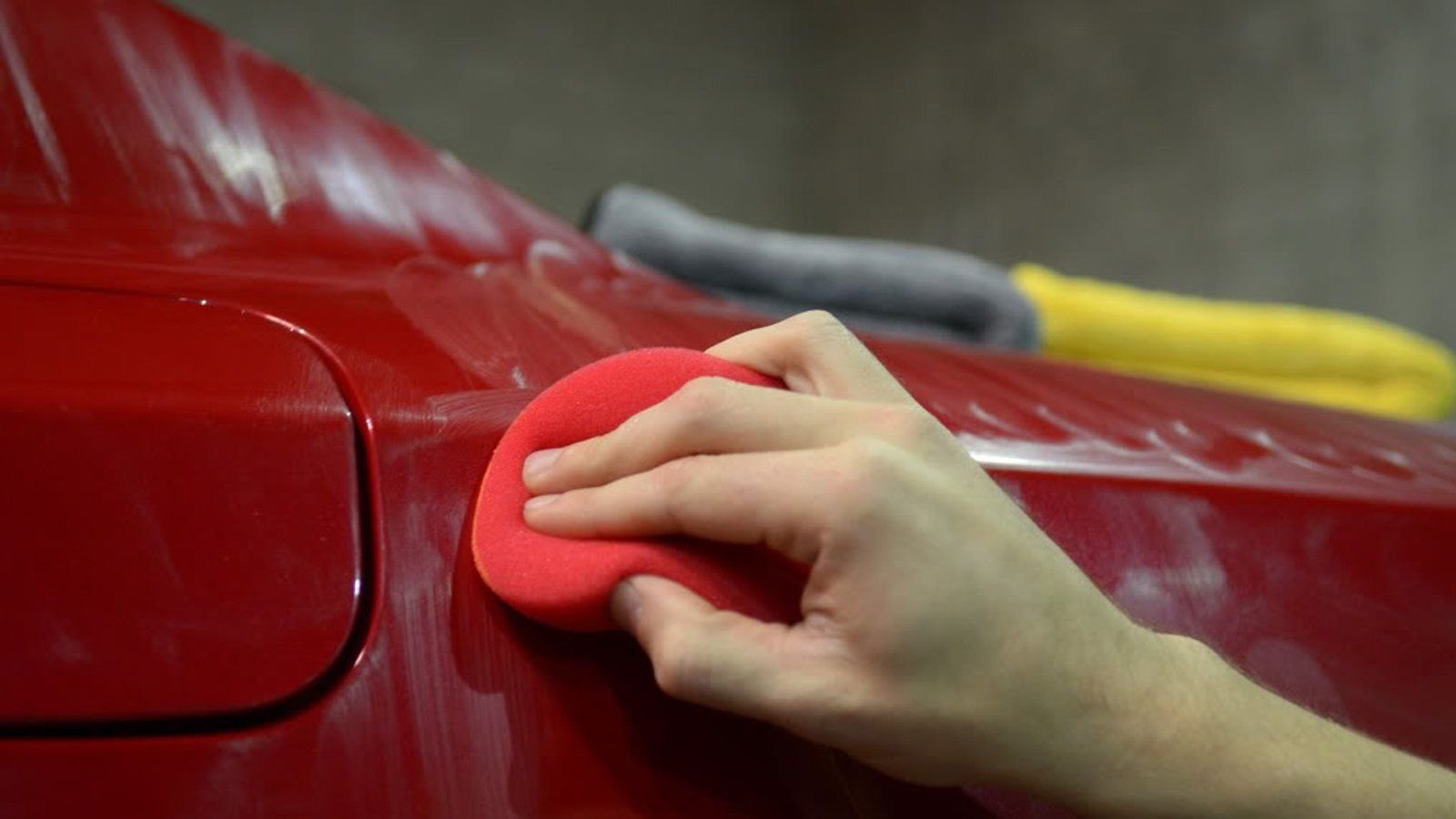 Detailing Your Lexus for the Spring Season Clublexus