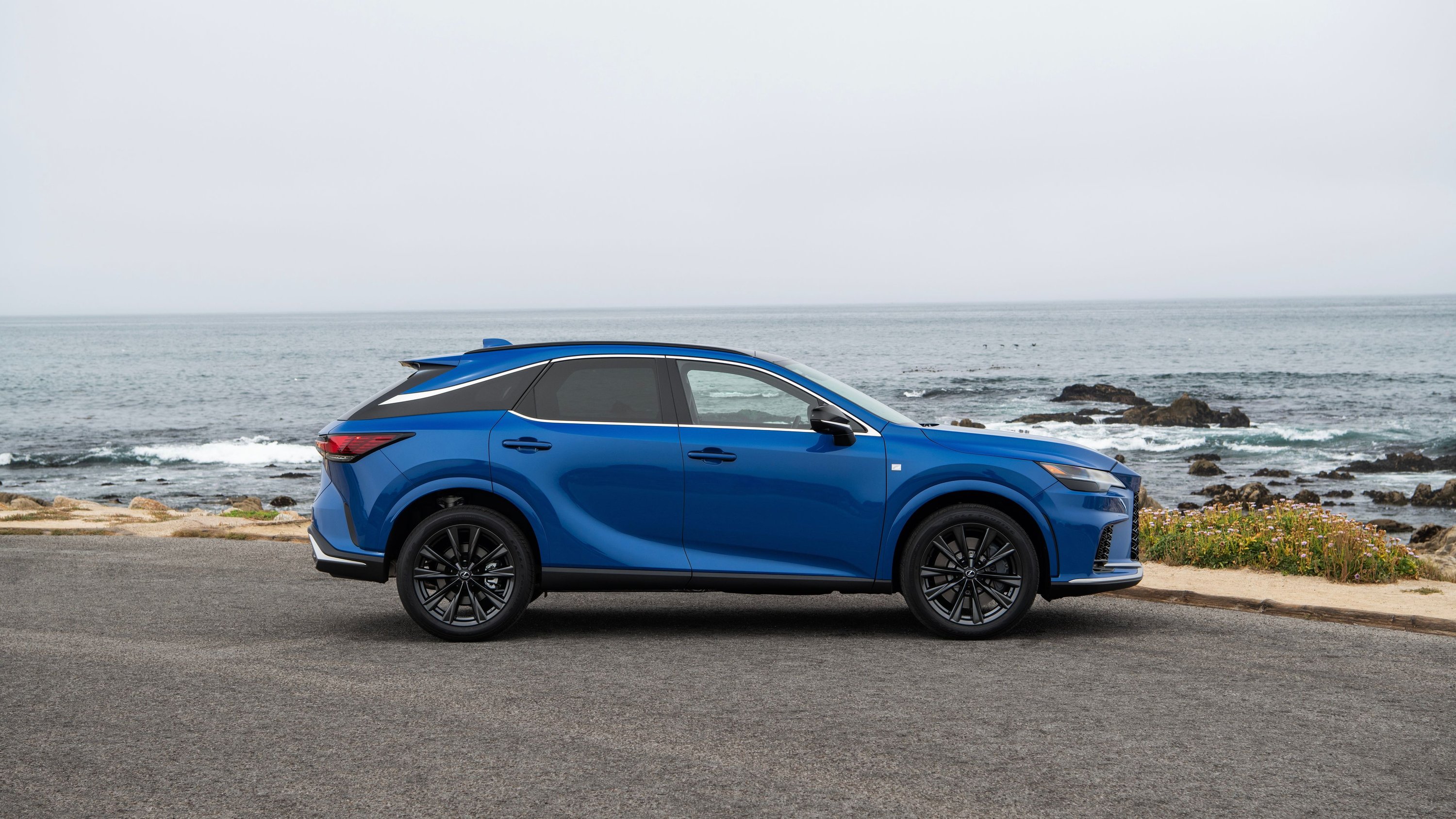 Experience The Dynamic: Our Lexus Nx 300H Deep Dive - 1dguw2x