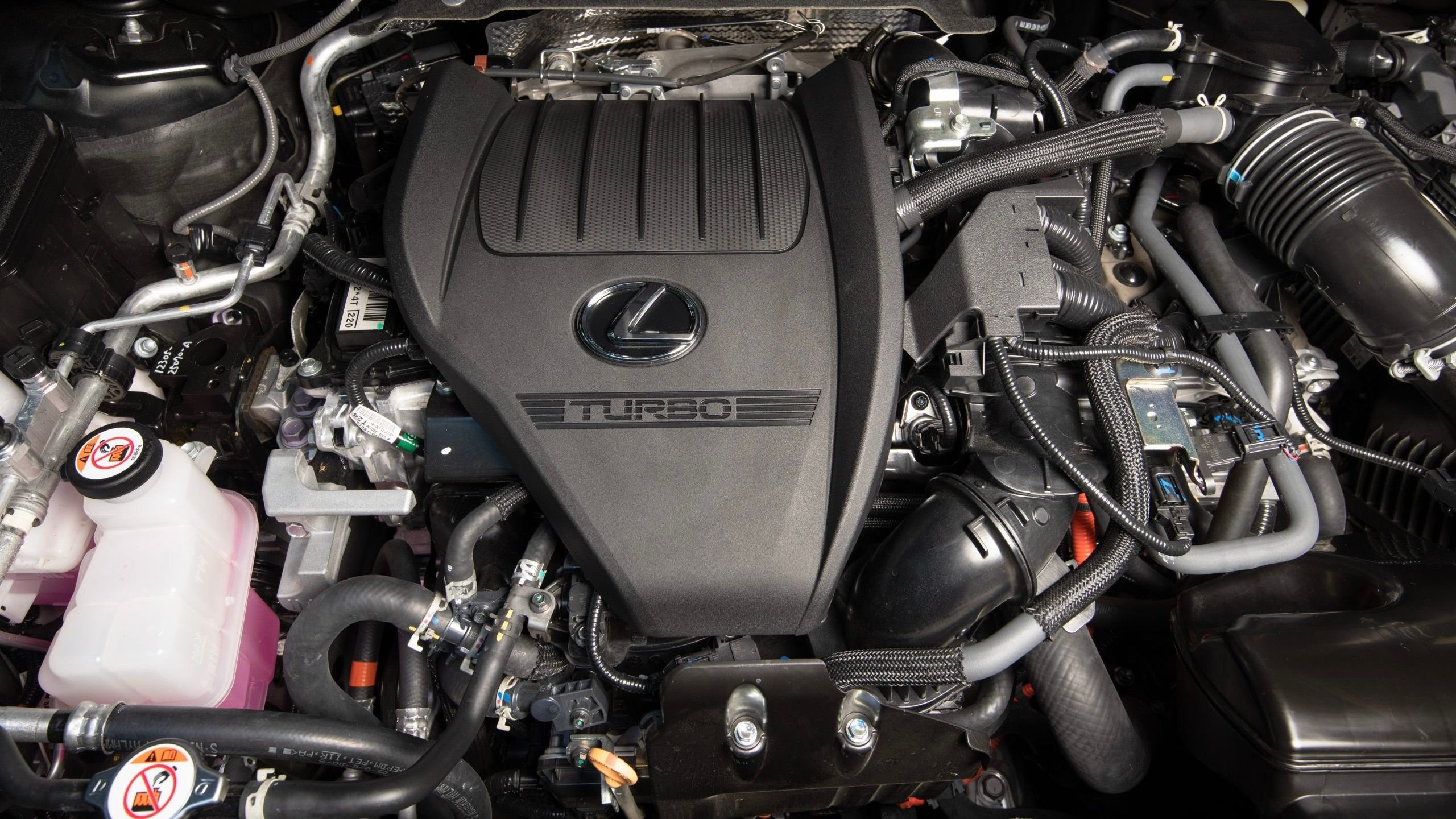 2024 Lexus RX Buyer's Guide: Models, Features, Prices & More! | Clublexus