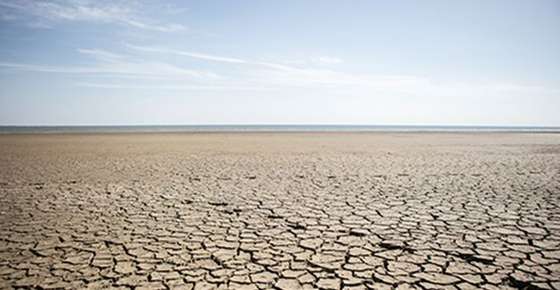 Image of the desert.