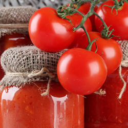 Fresh Tomatoes and Tomatoes in Glass Jars with Canvas Lids