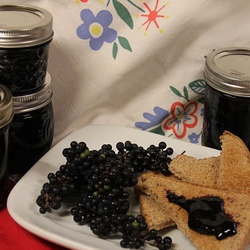 wild grapes, jelly and toast