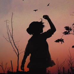 Child and birds at sunset