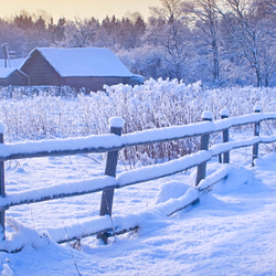 A snowy farm road, fence and pasture