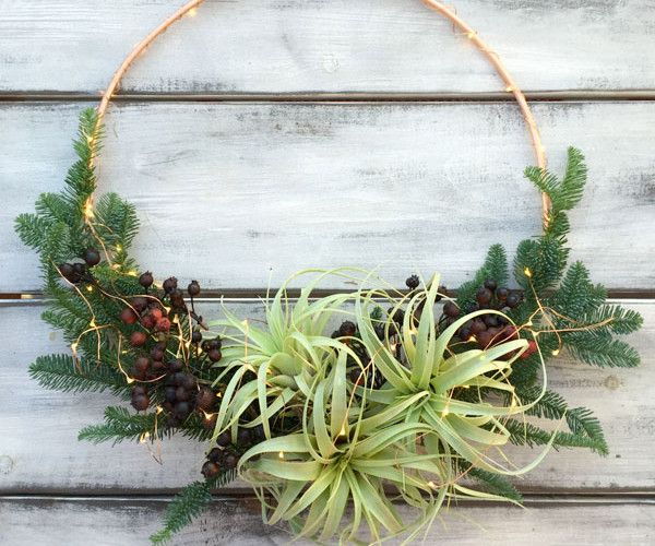 natural wreath with air plants