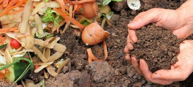 hands holding soil near composting scraps