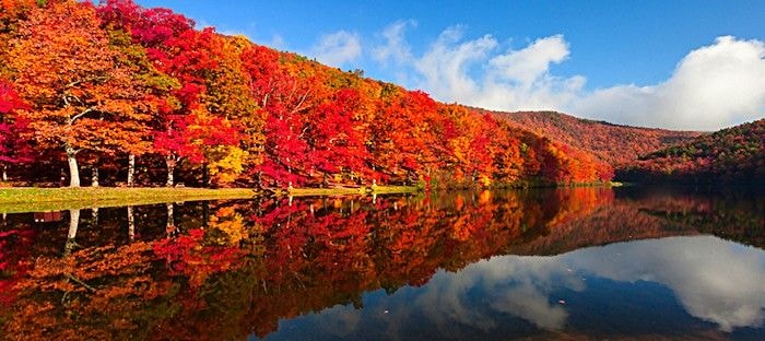 Beautiful fall foliage reflected on a lake