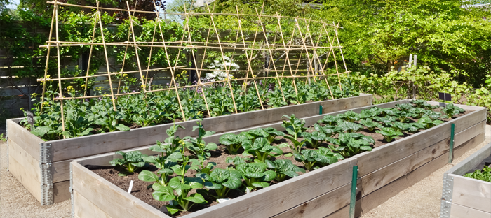 Advanced Gardening Goals Create A Raised Bed Planter Dave S Garden