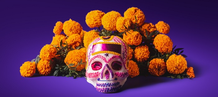 Cempasúchil, The Marigold and Day of the Dead - Dave's Garden