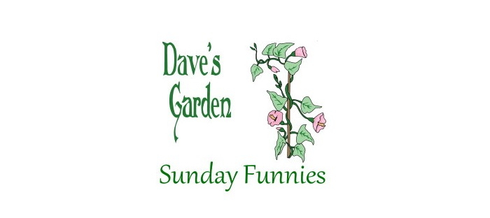Dave's Garden Sunday Funnies Logo