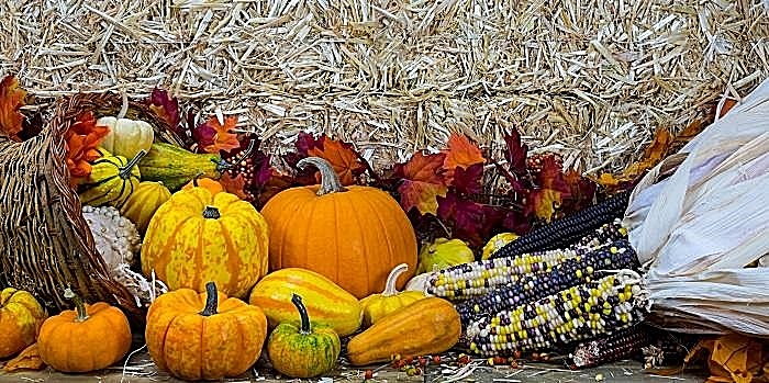 autumn display with pumpkins, leaves and corn