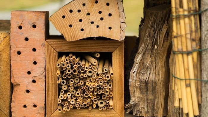 Building A Mason Bee House Dave S Garden