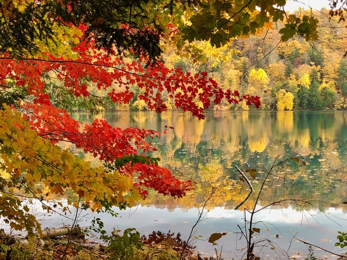 autumn foliage with a lake
