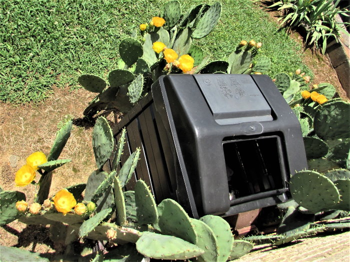 compost bin next to cactus plants