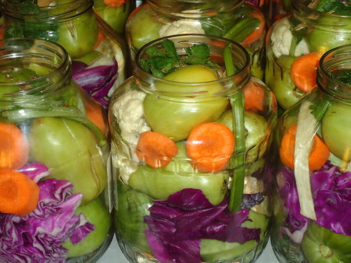 Green tomatoes with carrots, red cabbage slices and celery ready to be pickled in big jars