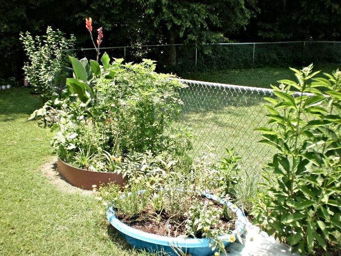 New Ways to Grow Potatoes Dave's Garden