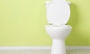 The Pros and Cons of a Back Flush Toilet