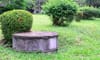 Septic Tank Maintenance: Inside and Outside Your Home