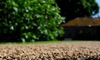 A close-up image of a gravel driveway with a house and a tree in the background.