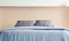 Bed with blue bedspread and pillows