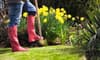 Monthly Maintenance Checklists for Your Garden: Spring