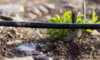 4 Types of Drip Irrigation Systems Explained