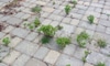The Best Ways to Prevent Weed Growth Between Pavers