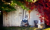 Get Garages, Closets, and Sheds Ready for Fall