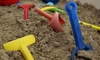 How to Keep a Bug-Free Sand Box