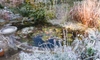 How to Winterize a Pond
