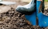 How to Prep Soil for Fall Gardening