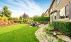 Beautify Your Backyard Landscape on a Budget