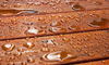 Water beading up on a deck
