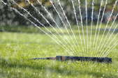 An oscillating sprinkler on a green lawn.