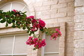 Crepe myrtle branch with pink blooms drooping in front of a tan brick building
