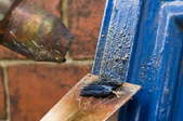 Using a heat gun, blue paint is scraped off of a cabinet door.