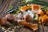 Food scraps for composting, vegetable peelings and egg shell.