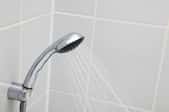 Water spraying from a shower head in tiled shower